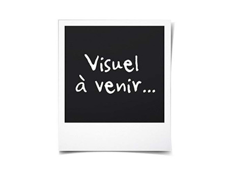 EDA Boîte de rangement STONE, 30 litres, PP, blanc