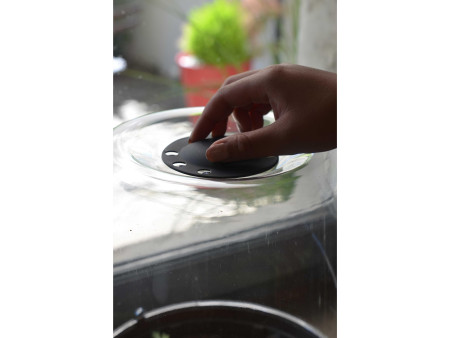 EDA Mini-serre, taille M, volume: 5,7 L, anthracite