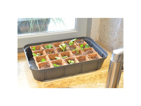 EDA Mini-serre, taille M, volume: 5,7 L, anthracite