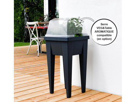 EDA Mini-jardinière 'VEG&Table' Aromatique, anthracite