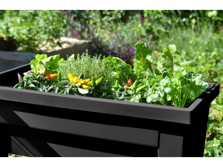 EDA Jardinière 'VEG&Table' City, anthracite