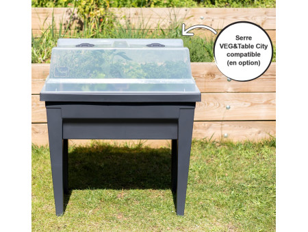 EDA Jardinière 'VEG&Table' City, anthracite
