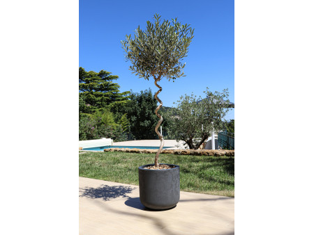 EDA Bac à plantes BASALT UP, rond, 385 mm, anthracite