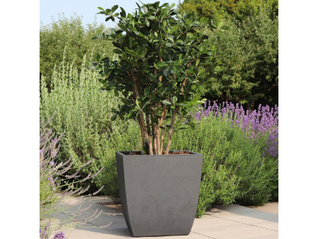 EDA Bac à plantes BASALT Diva, carré, 435 mm, anthracite