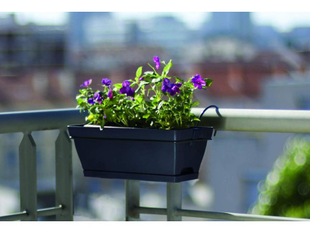 Poétic Set jardinière BABY ROMEO, (L)280 mm, granite