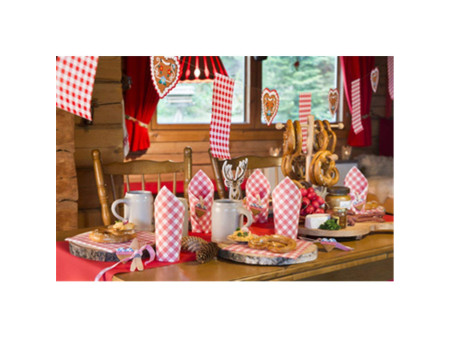 PAPSTAR Set de table 'Vichy', (L)400 x (P)300 mm