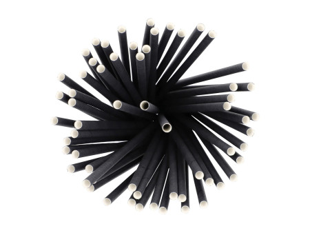 PAPSTAR Paille en papier 'pure', 250 mm, noir