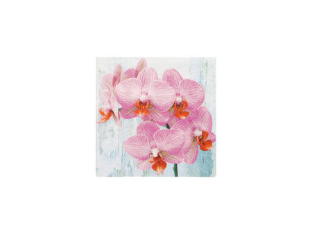 PAPSTAR Serviette à motif 'Lisette', 330 x 330 mm