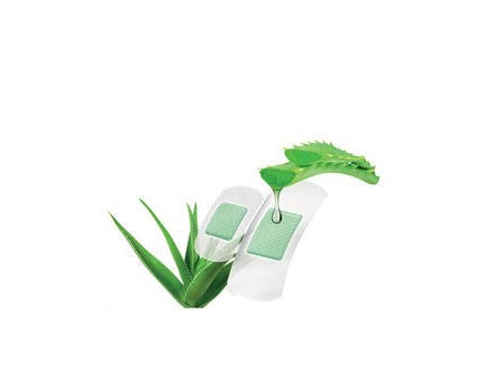 Lifemed Pansements 'Aloe vera', pack de 10, blanc
