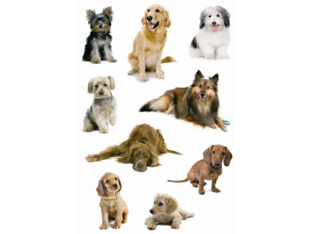HERMA Autocollants DECOR 'Photos de chiens'