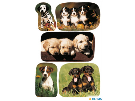 HERMA Autocollants DECOR 'Photos de chiots'