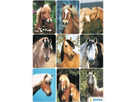 HERMA Sticker DECOR 'Têtes de chevaux'