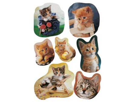 HERMA Autocollants DECOR 'Chatons photogéniques'