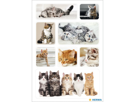 HERMA Autocollants DECOR 'Chatons'