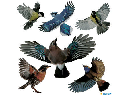 HERMA Etiquette de signalisation 'oiseaux', multicolore