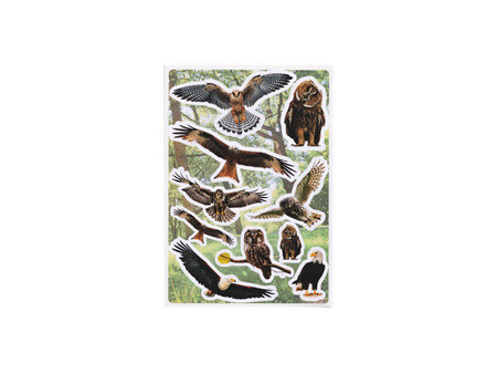 HERMA Sticker DECOR Rapaces