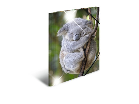 HERMA Chemise à élastiques 'koala', PP Glossy, A4