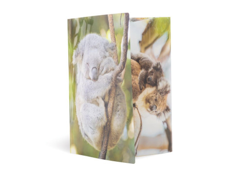 HERMA Chemise à élastiques 'koala', PP Glossy, A4