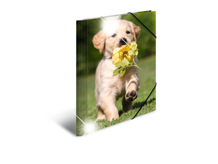 HERMA Chemise à élastiques 'chiens', PP Glossy, A4