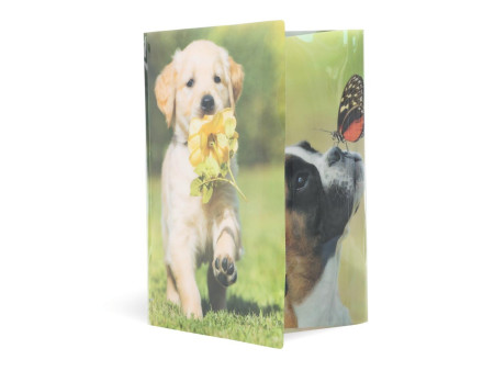 HERMA Chemise à élastiques 'chiens', PP Glossy, A4