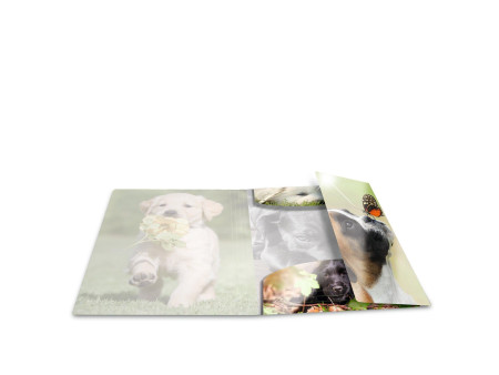 HERMA Chemise à élastiques 'chiens', PP Glossy, A4