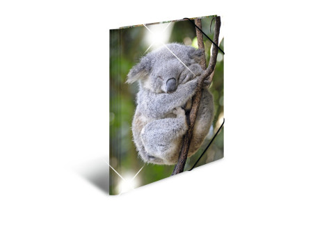 HERMA Chemise à élastiques 'koala', PP Glossy, A3
