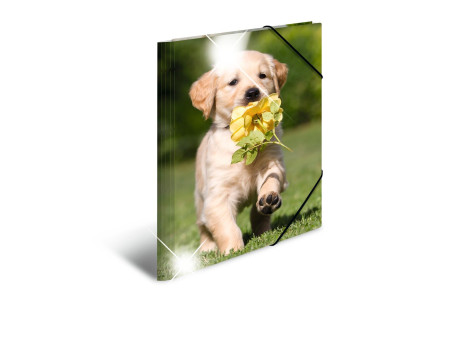 HERMA Chemise à élastiques 'chiens', PP Glossy, A3