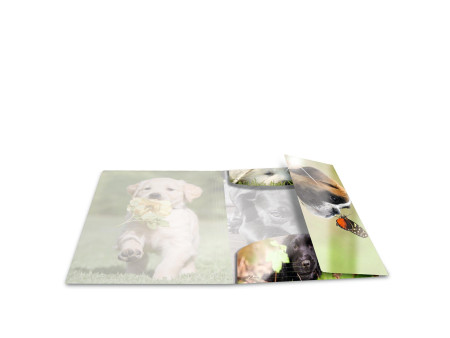 HERMA Chemise à élastiques 'chiens', PP Glossy, A3