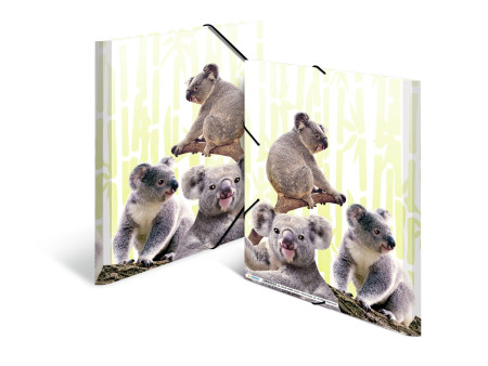 HERMA Chemise à élastiques Animaux exotiques, A4, koalas