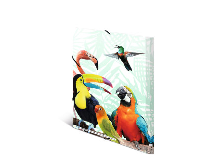 HERMA Chemise à élastiques Animaux exotiques, A4, oiseaux