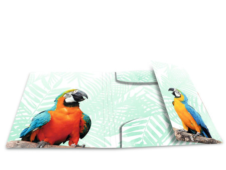 HERMA Chemise à élastiques Animaux exotiques, A4, oiseaux