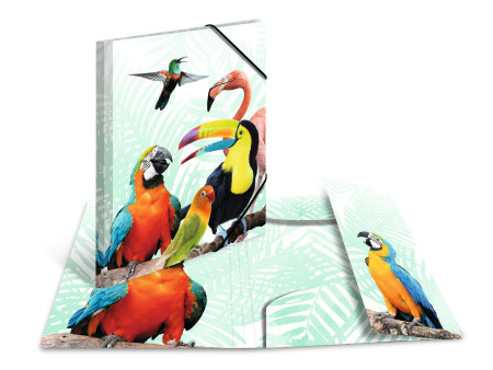 HERMA Chemise à élastiques Animaux exotiques, A4, oiseaux