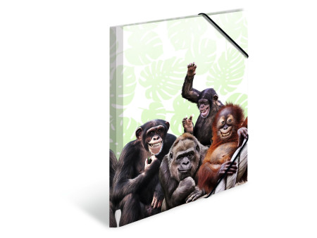 HERMA Chemise à élastiques Animaux exotiques, A4, singes