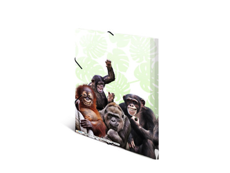 HERMA Chemise à élastiques Animaux exotiques, A4, singes