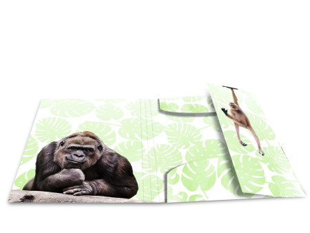 HERMA Chemise à élastiques Animaux exotiques, A4, singes