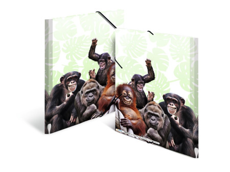 HERMA Chemise à élastiques Animaux exotiques, A4, singes