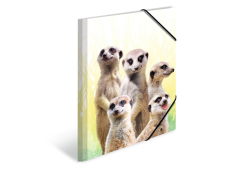 HERMA Chemise à élastiques Animaux exotiques, A4, suricates