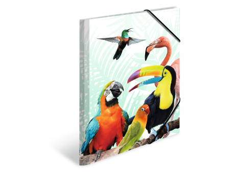 HERMA Chemise à élastiques Animaux exotiques, A3, oiseaux