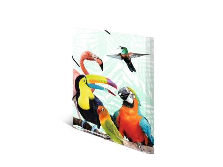 HERMA Chemise à élastiques Animaux exotiques, A3, oiseaux