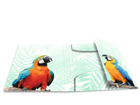 HERMA Chemise à élastiques Animaux exotiques, A3, oiseaux