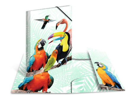 HERMA Chemise à élastiques Animaux exotiques, A3, oiseaux