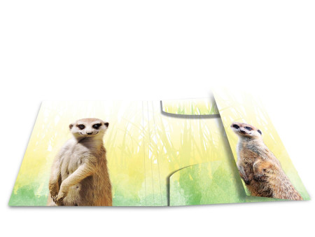 HERMA Chemise à élastiques Animaux exotiques, A3, suricates