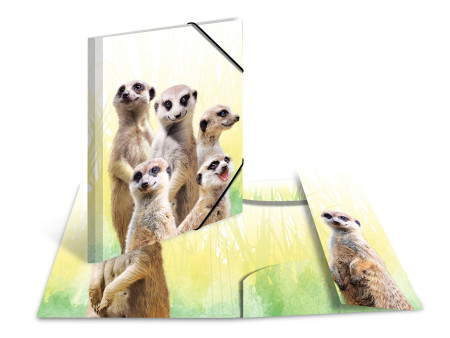 HERMA Chemise à élastiques Animaux exotiques, A3, suricates