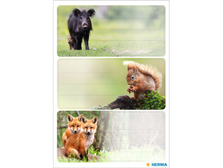 HERMA Étiquette pour livre VARIO 'Animaux de la forêt'