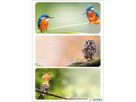 HERMA Étiquette pour livre 'Oiseaux'