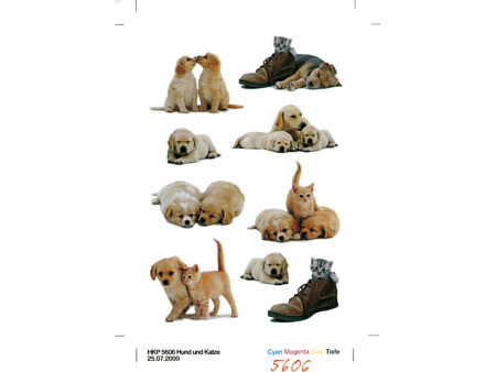 HERMA Autocollants DECOR 'Chiots'