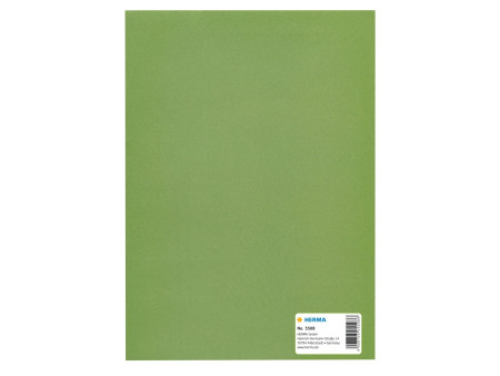 HERMA Protège-cahier, en papier, A5, vert herbe