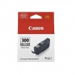 Cartouche Jet d'encre CANON Gris 4200C001