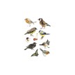 HERMA sticker DECOR "oiseaux aquarelle"