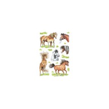 HERMA sticker DECOR "races de chevaux"